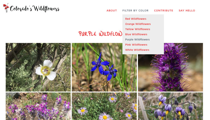 Database of the wildflowers of Colorado