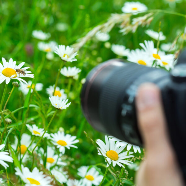 How To Take Better Photos For Your Website & Social Media